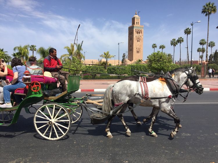 7 dias a Marruecos desde Marrakech