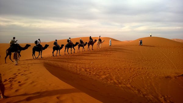 Fez To Marrakech Desert Tour