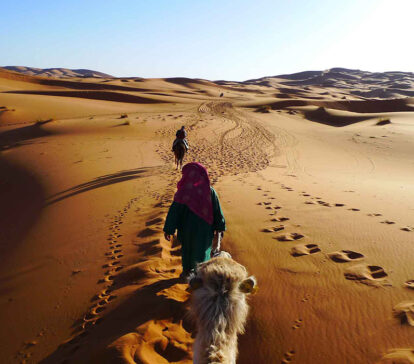 Fez To Merzouga Back To Fez