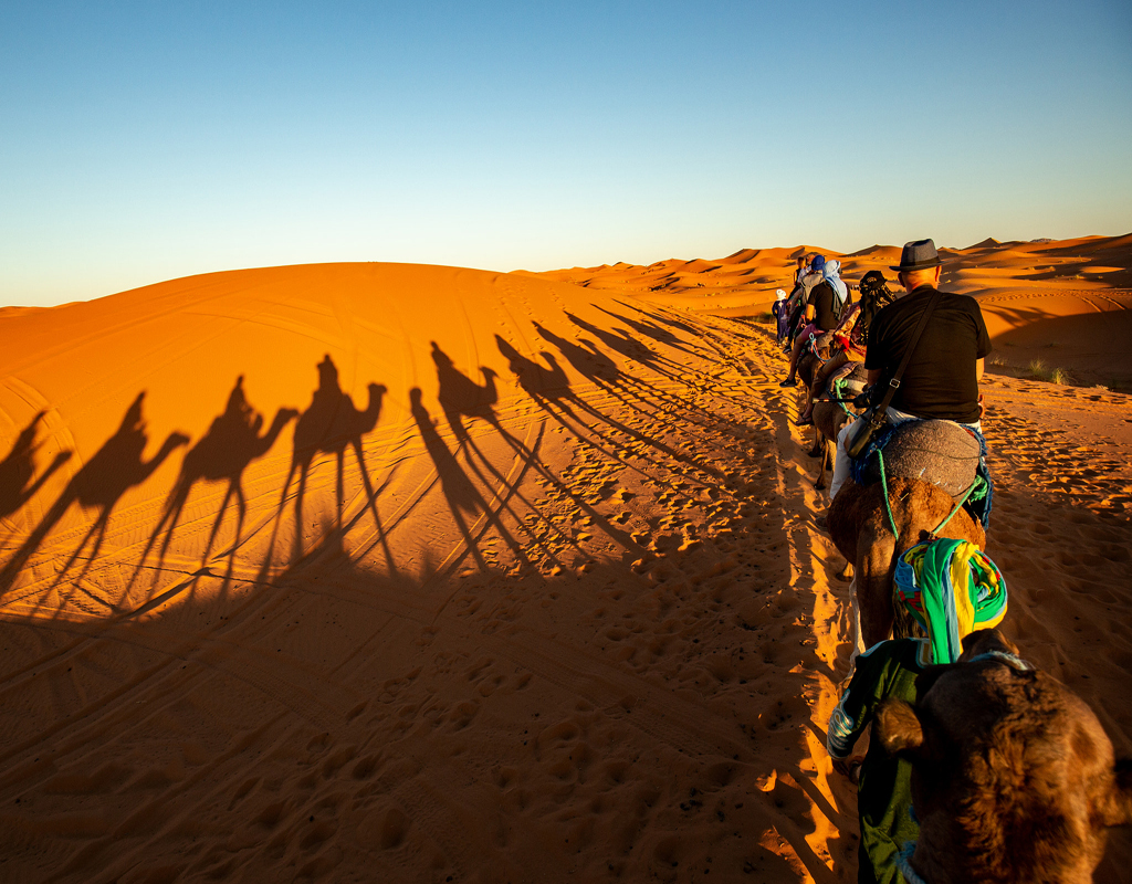 ride camel merzouga
