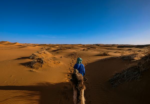 Sahara and city tour