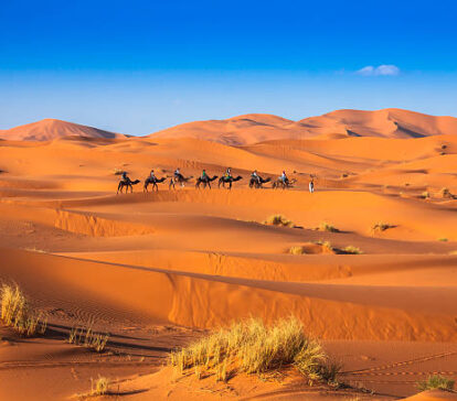 5 Day Marrakech Sahara Tour