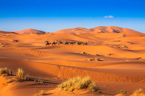 5 Day Marrakech Sahara Tour